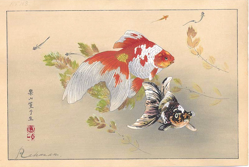 World Menagerie Oujda Japanese Asian Koi Fish on Classic Reflexive